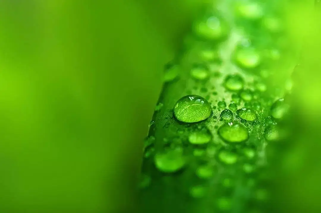 温柔正能量句子_温柔正能量短句_