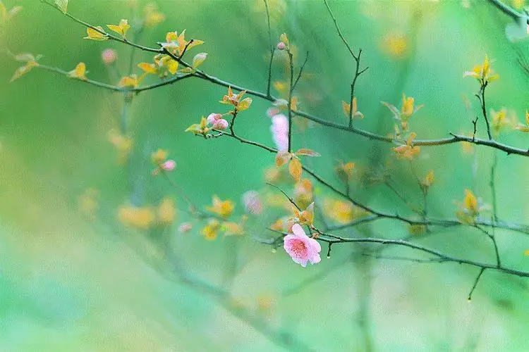 满怀希望的经典句子摘抄