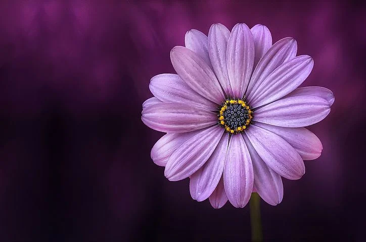 上帝给每个人的礼物_上帝给每个人的礼物_