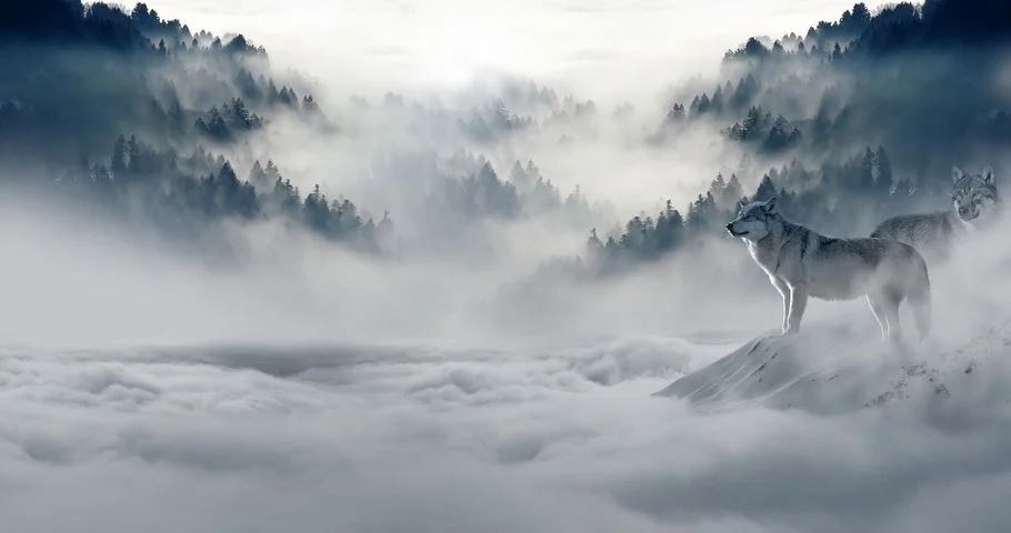 小花来历小草的故事_小花来历小草怎么画_