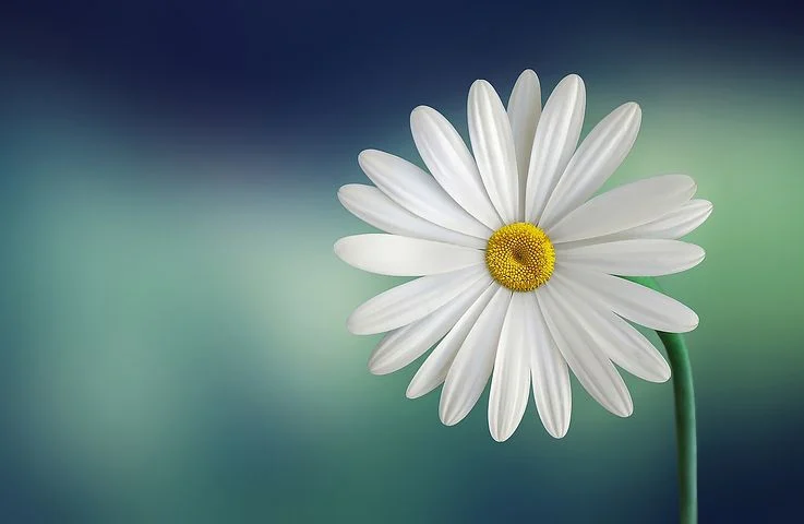 哲理故事小古文_哲理故事小学二年级_