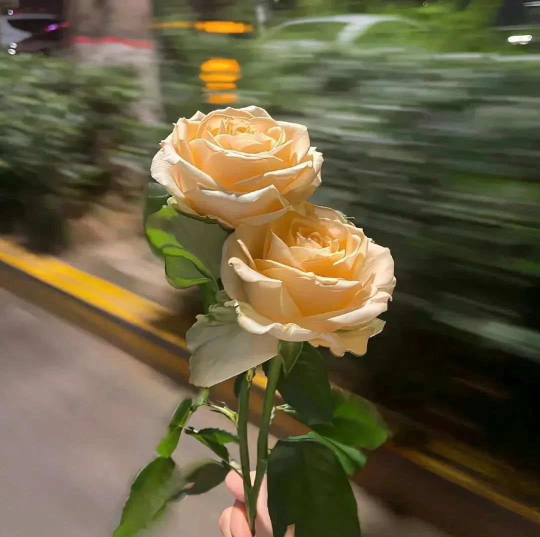 "瞬间让人破防的走心文案"◂ ᙚᵐⁱᒻᵉ¨̮⤾＂