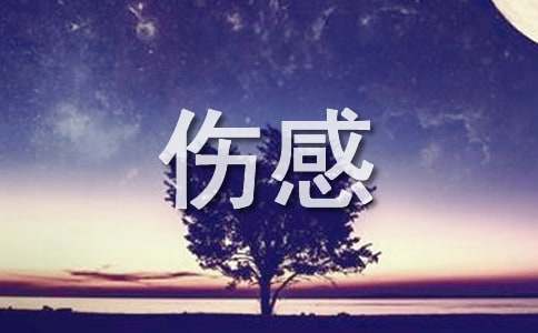 唯美伤感句子79条