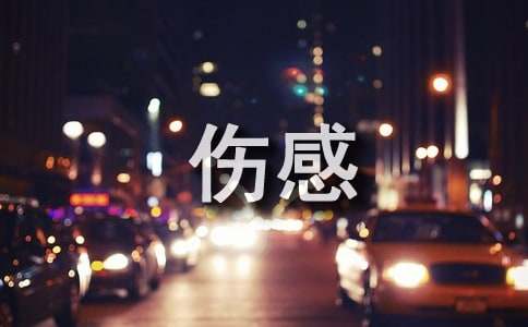2024年实用的qq空间伤感句子66句