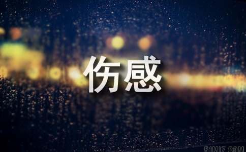 简单的微信伤感句子85条
