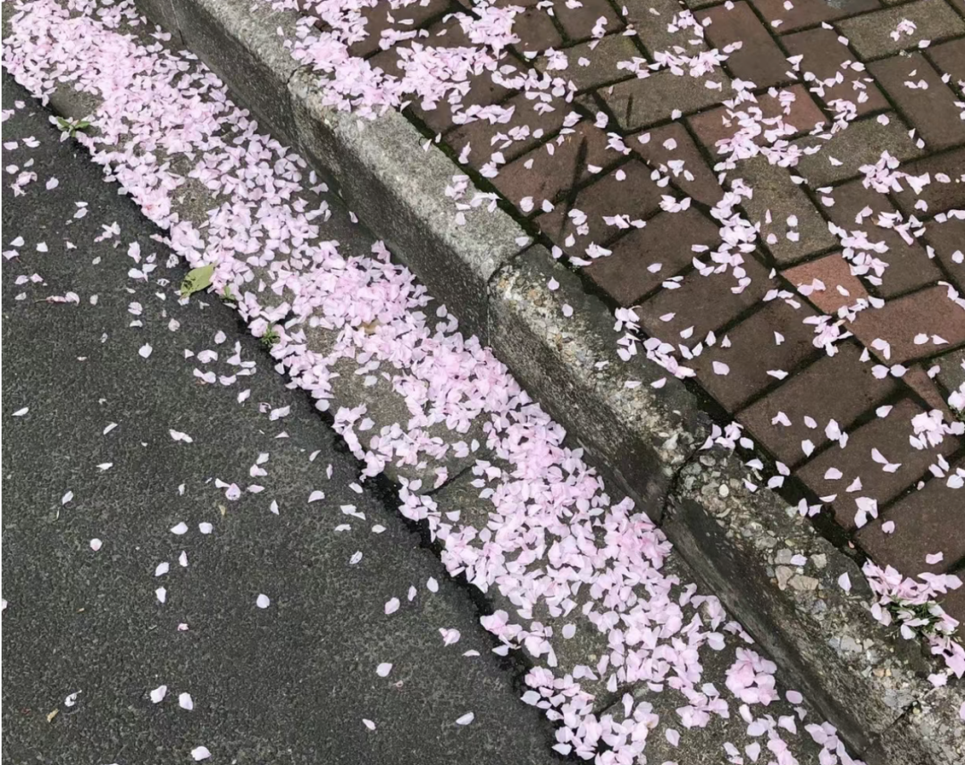 “超级旺自己的生命力文案”