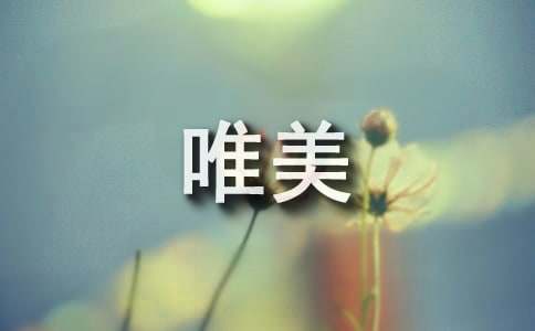 人生唯美的句子55条