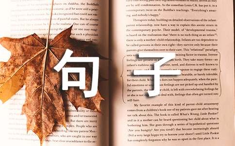 精选形容雪景的句子36句