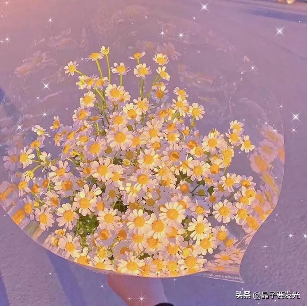 幽默自嘲语录：从贫穷到健身卡，这些搞笑句子让你笑出腹肌