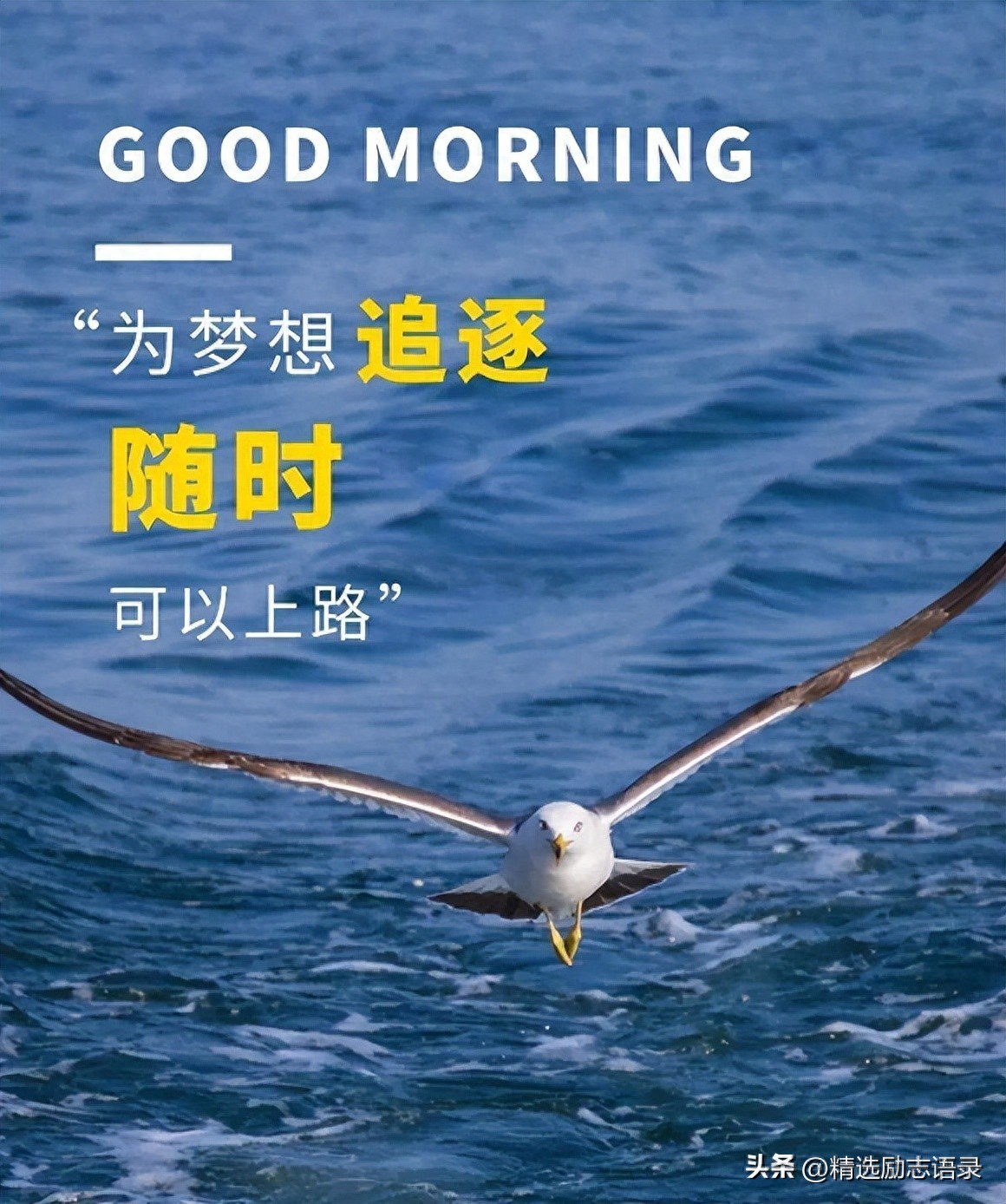 酸甜苦辣自己尝，喜怒哀乐自己扛：做自己的太阳，活出精彩人生