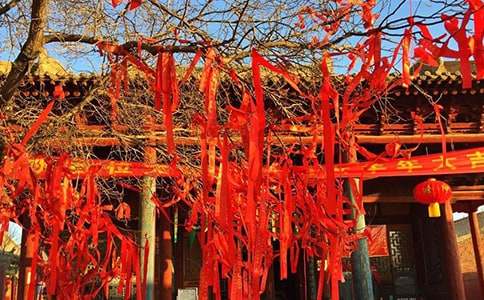 母亲节创意文案：感人至深的节日祝福语与情感表达技巧